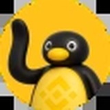 noootbsc