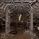 CAGED.