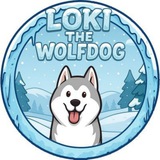 Loki the Wolfdog | $LOKI