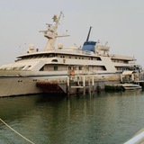 حمّادي