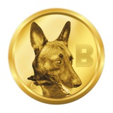 Belgian Malinois