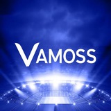 Vamoss bingo