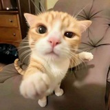 117暗区端口（公益版）