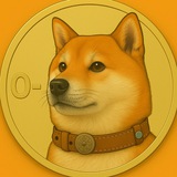 OUSUKE 🐕 THE LOST DOGE