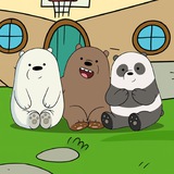 Money Bears