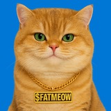BIG FAT CAT