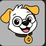 KikiDog