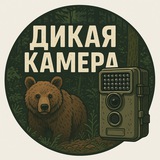 Дикая Камера: природа, животные, птицы, видео, фотоловушки, wildlife, nature