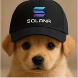 Solana Baby Pup