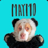 Maymo Official
