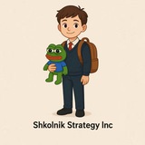 Shkolnik Strategy Inc