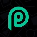 Pulse AI