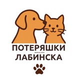 🐾Потеряшки Лабинска