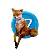 StonedFoxTON CTO