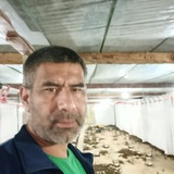 Namangan yangi bedana