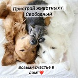База пристроя животных г. Свободный