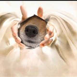 nose memes
