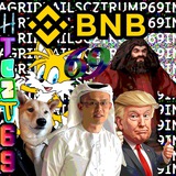 HagridTailsCZTrump69Inu | $BNB