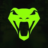 Viper Cash Portal