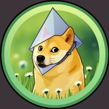 Doge with Ethereum Hat (Dogethereum)