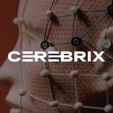 Cerebrix Community