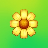 盘口直收相亲交友粉 💪