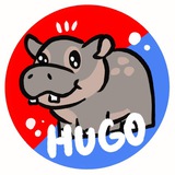 Hugo The Baby Pygmy Hippo