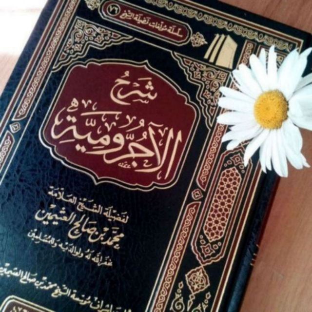 Arabiyahh обратная связь