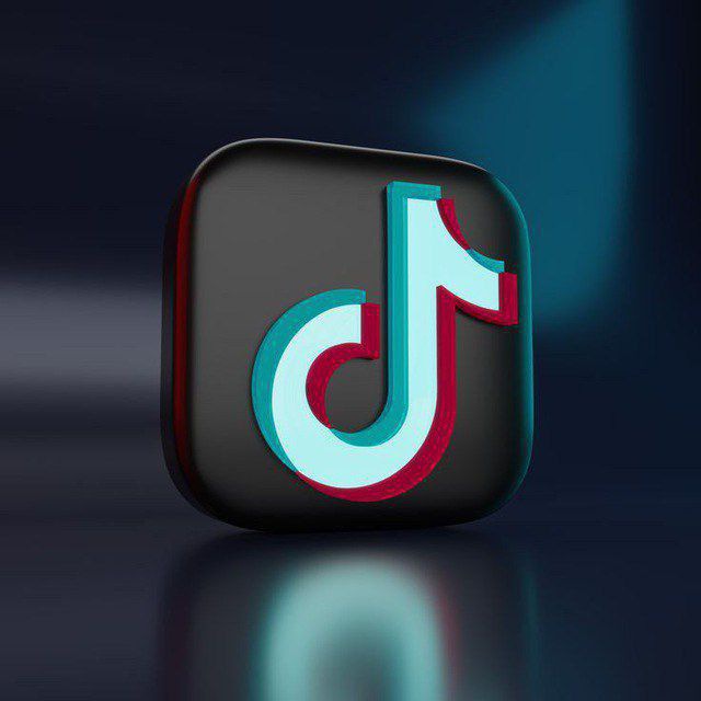 بوت تحميل تيك توك انستا