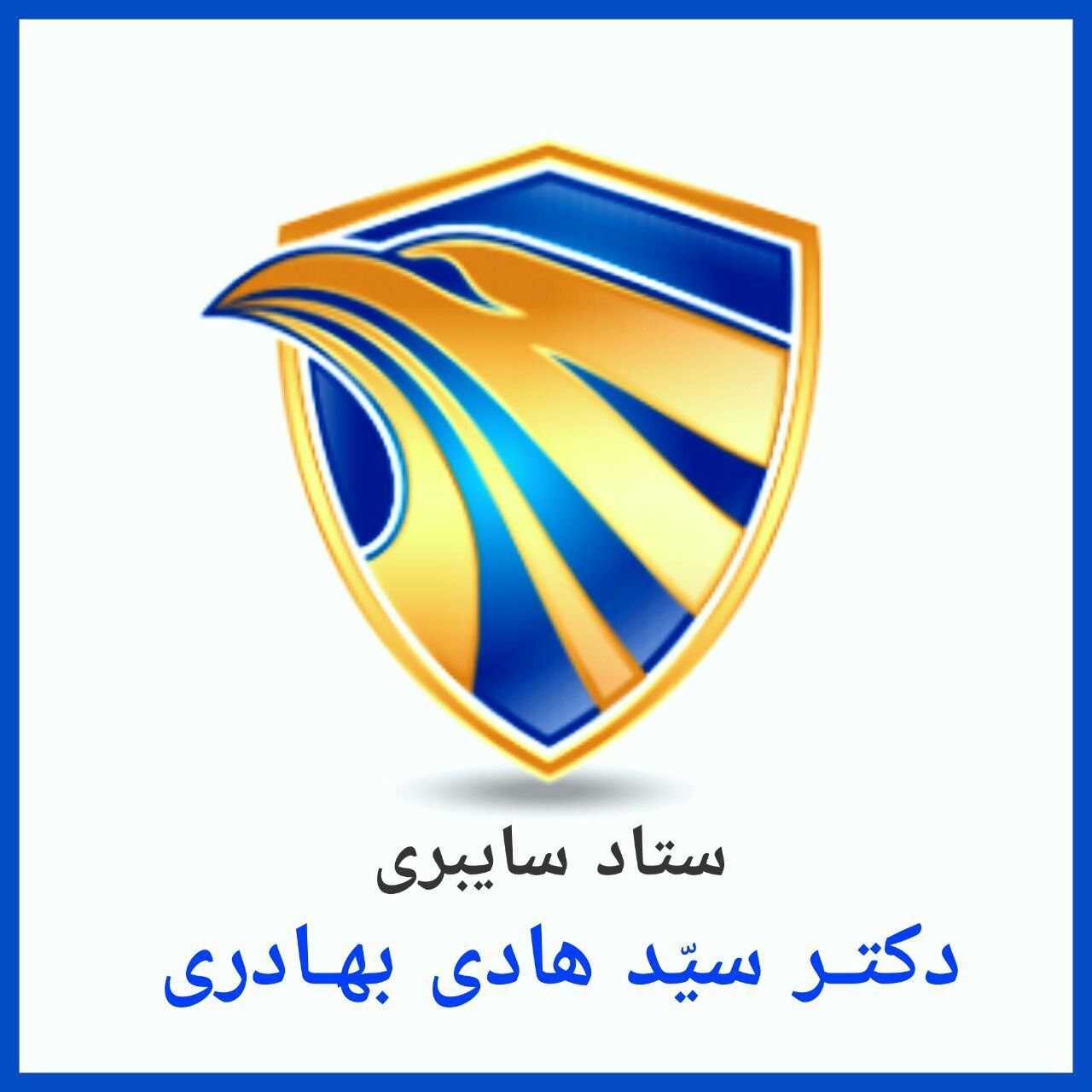 ستاد سایبری دکتر بهادری