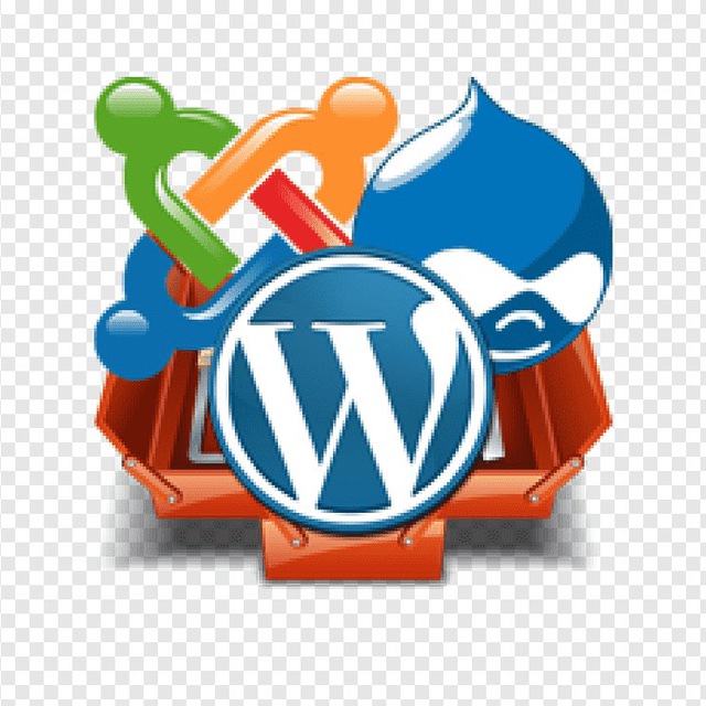 CMS Checker, SEO bot