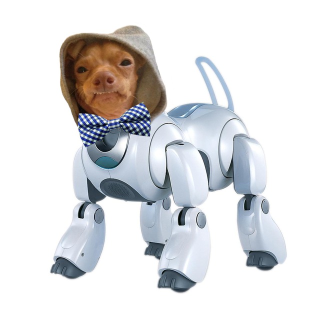 Phamily Buphineph Bot