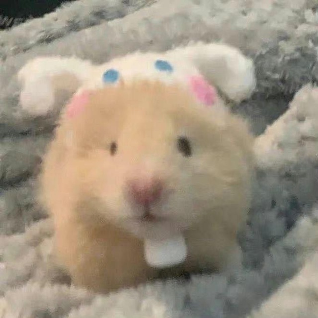˖ ་ 💭 𝐌yr 𝐁ot𔘓