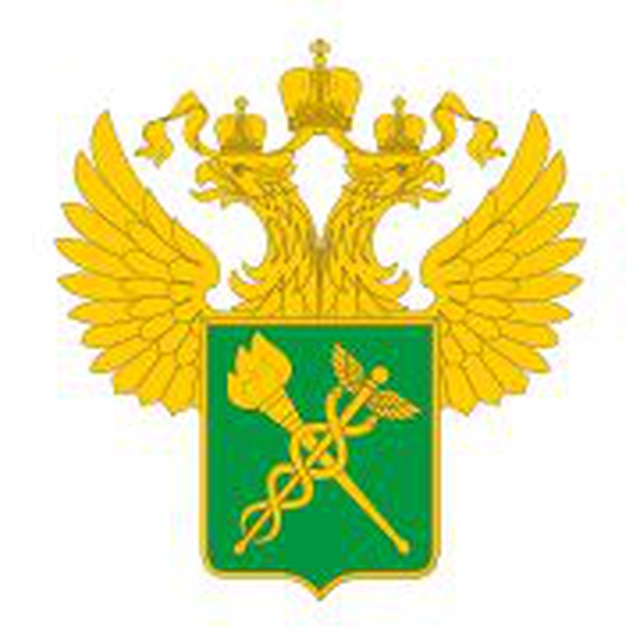 Customsrf_bot