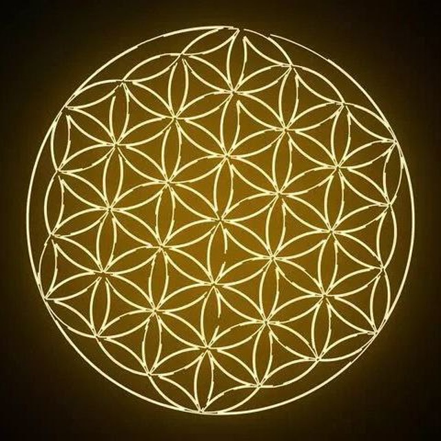 Тренинги и Практики России