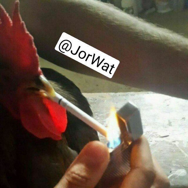 کام‌بزنین 💦