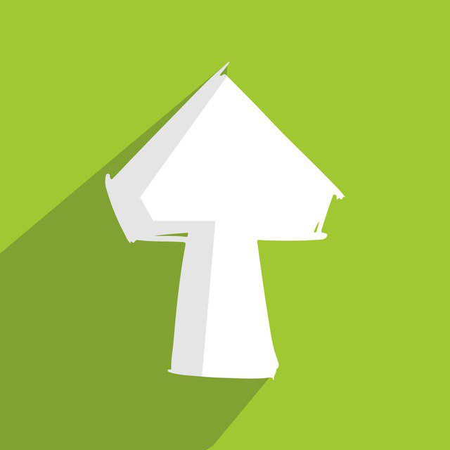 FUNGI_Youtube_bot