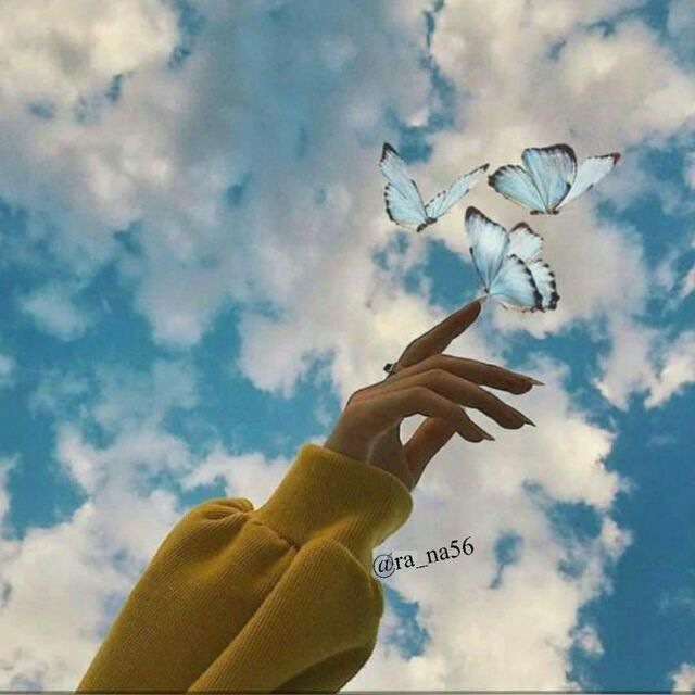 سُكَّرَة.. 🌸🥀