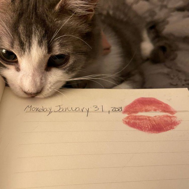 ♡