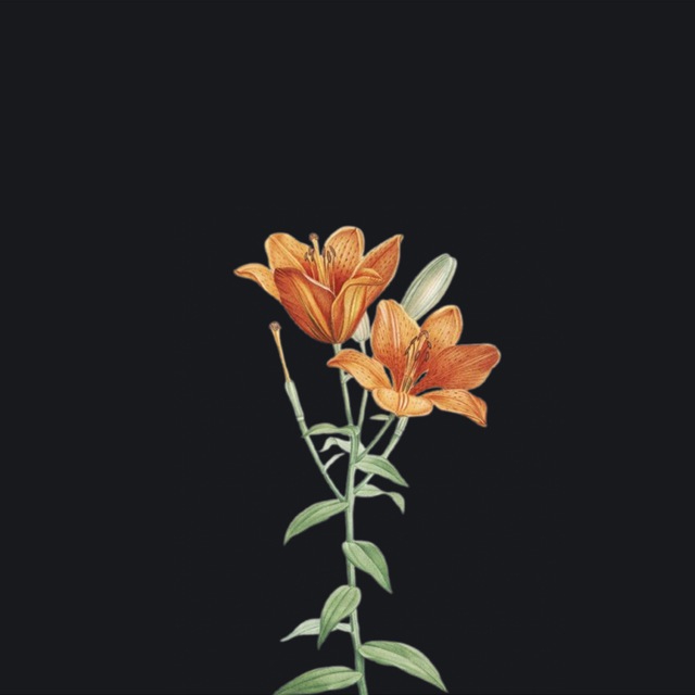 🍂 Outcast Exchanger – бот для связи