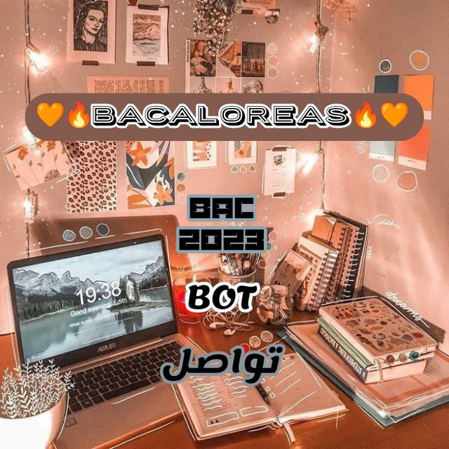 🧡🔥تواصل/BACALOREAS🔥🧡