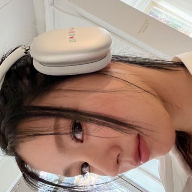 haydee bot