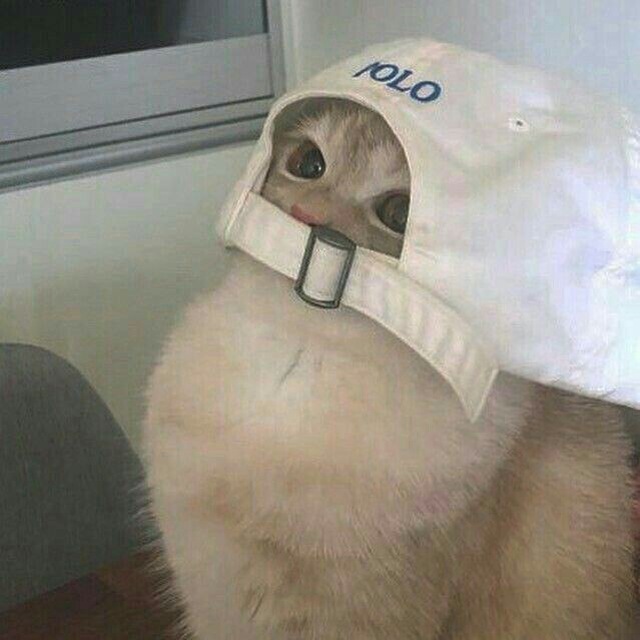 Fa