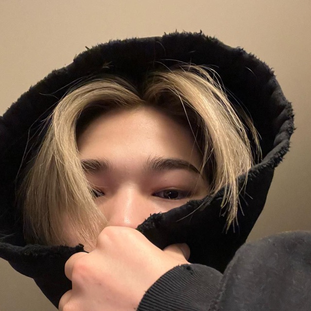 wtb/s bot!