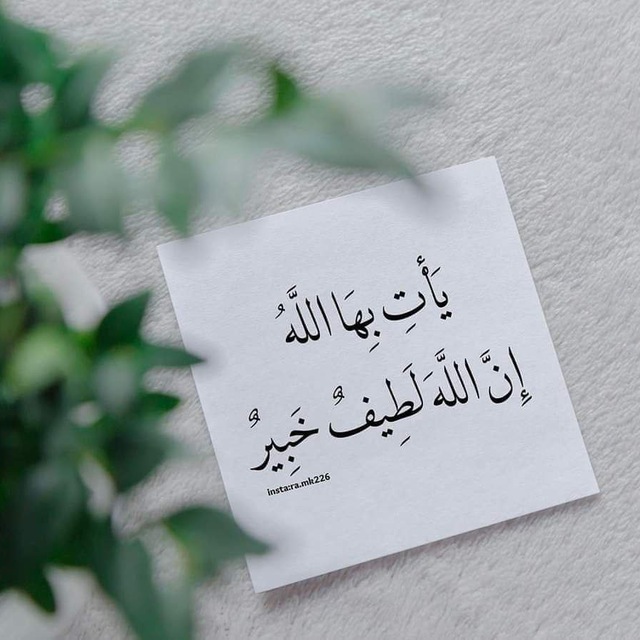 حب الله يكفيك♥️🌱