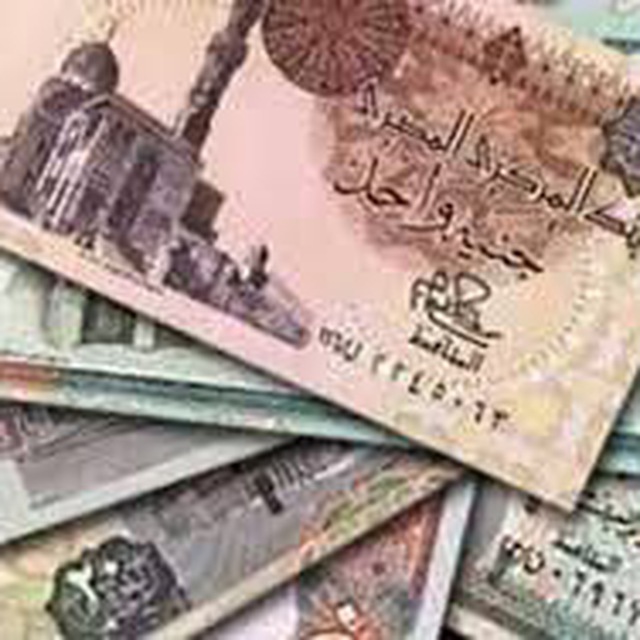 بوت ربح الجنيه المصري 💸