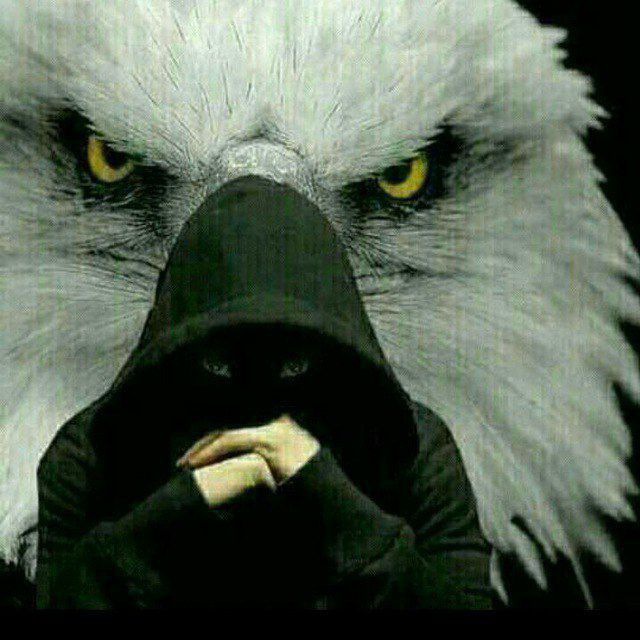 نادر فـــي زمــان ٳلتشــــابههّ❥