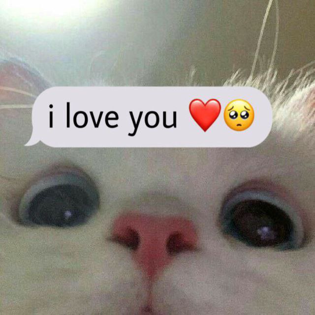 Открытки❤️