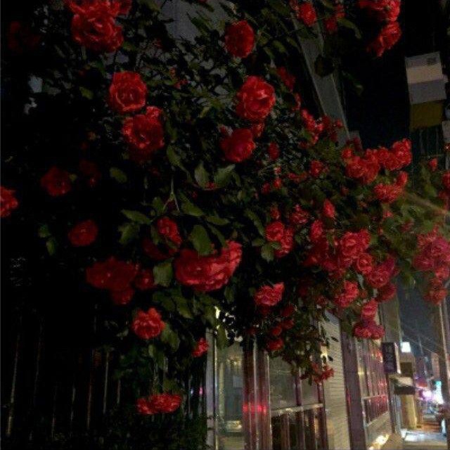 “ .. Murthaelegy’s ｡♡̷