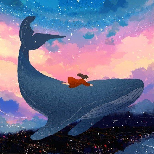 whalezi🐋